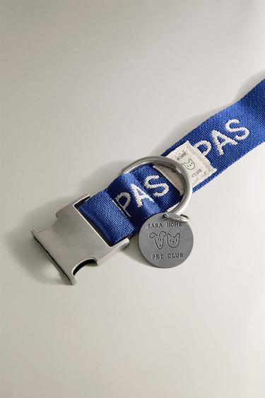 COLLIER ANIMAUX DE COMPAGNIE RUE DU BAC - Bleu de Zara - Image 3