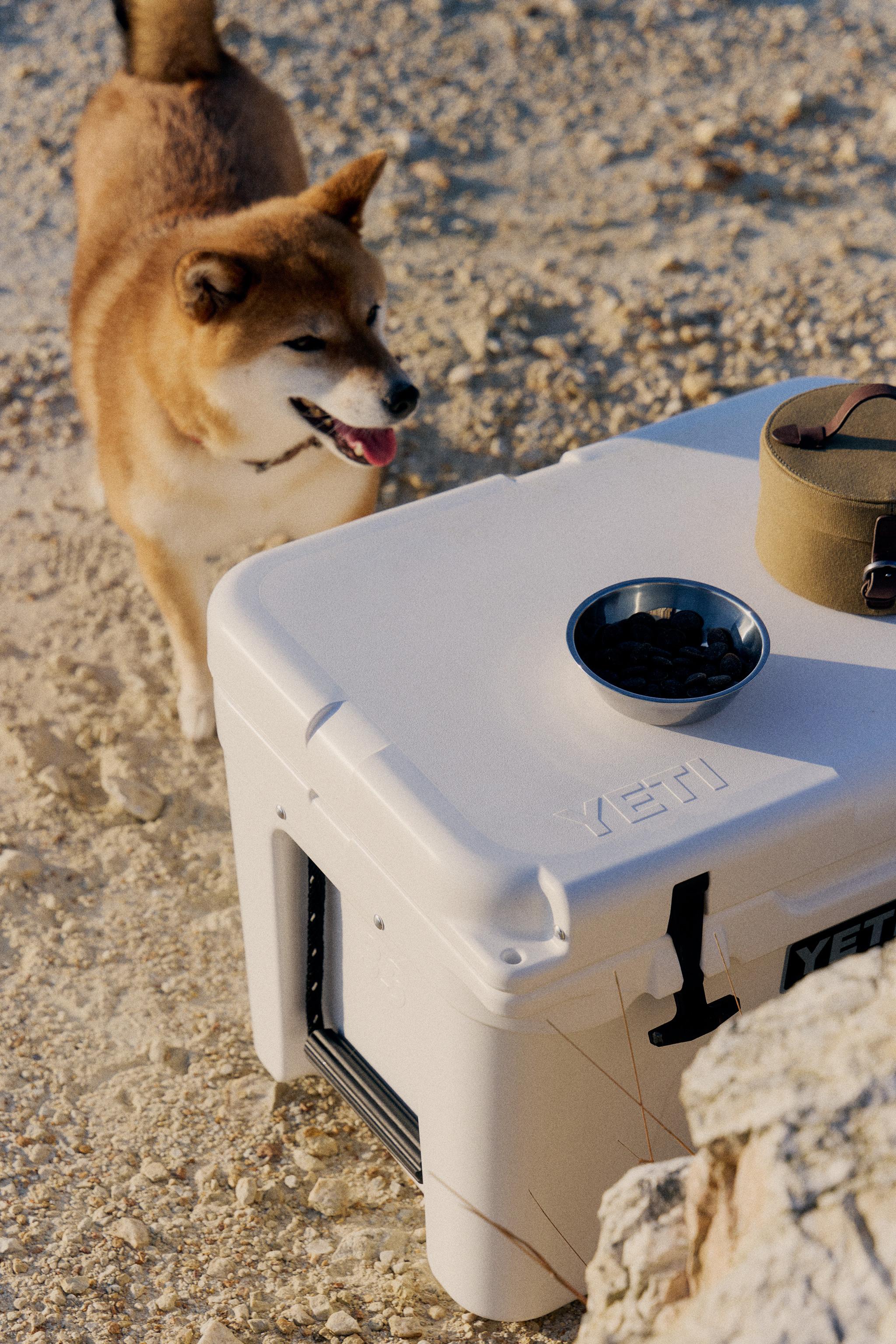 YETI RIGID PORTABLE COOLER — White