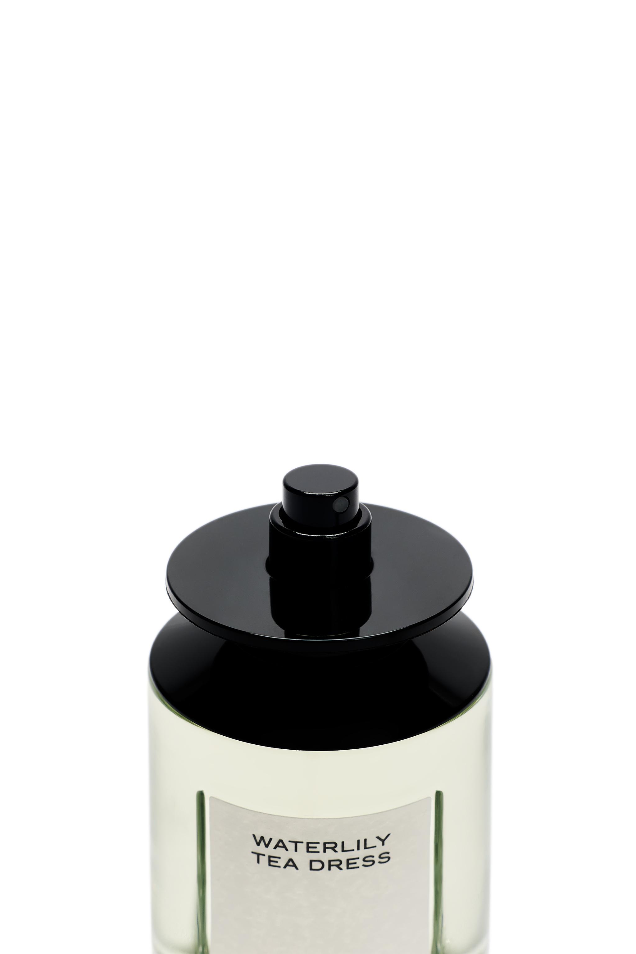 WATERLILY TEA DRESS EDP 100ML (3.4 FL.OZ). | ZARA Canada