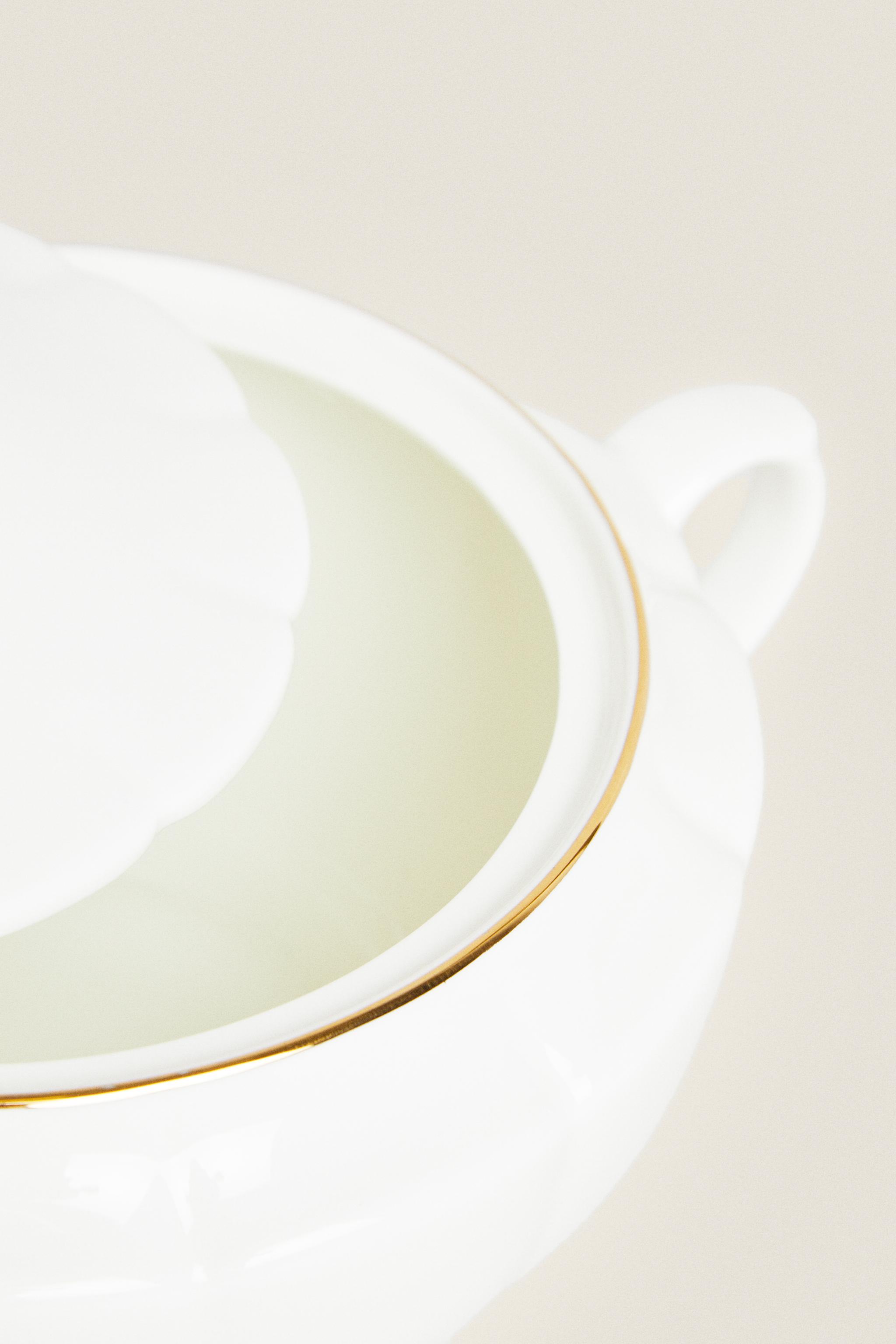 BONE CHINA TABLEWARE | ZARA United States