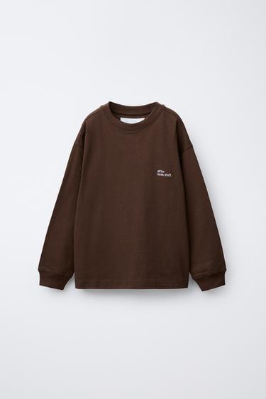 Zara 重磅刺繡標語 T 恤 - 棕色