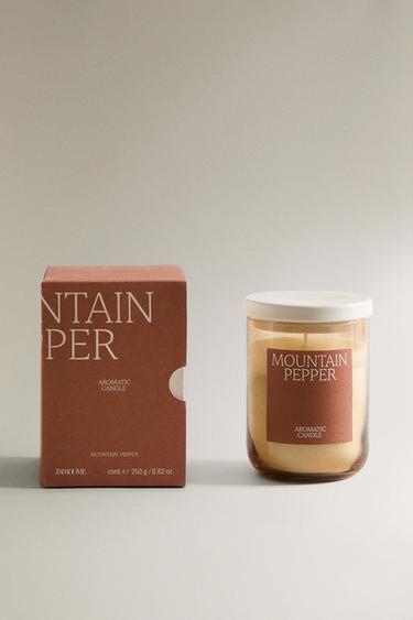 (250 G) MOUNTAIN PEPPER SCENTED CANDLE - Burgundy by Zara - Image 0