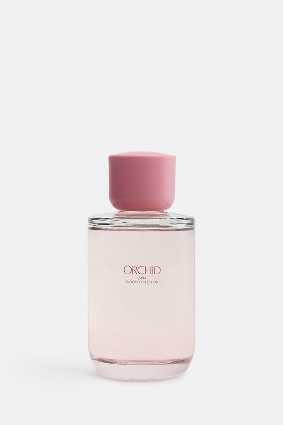 zara orchid