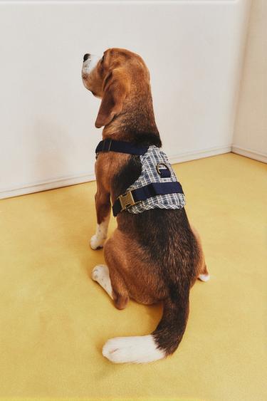 لجام للحيوانات الأليفة بمربعات فيشي - أزرق الخاص بـ Zara