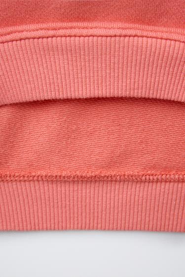 SWEAT IMPRIMÉ DINOSAURES - Rouge / Corail de Zara - Image 3