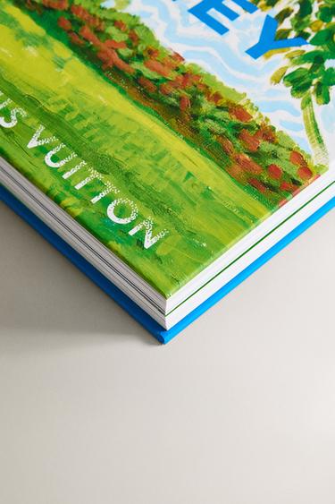 LIVRE DAVID HOCKNEY - FOUNDATION LOUIS VUITTON - Vert de Zara - Image 2