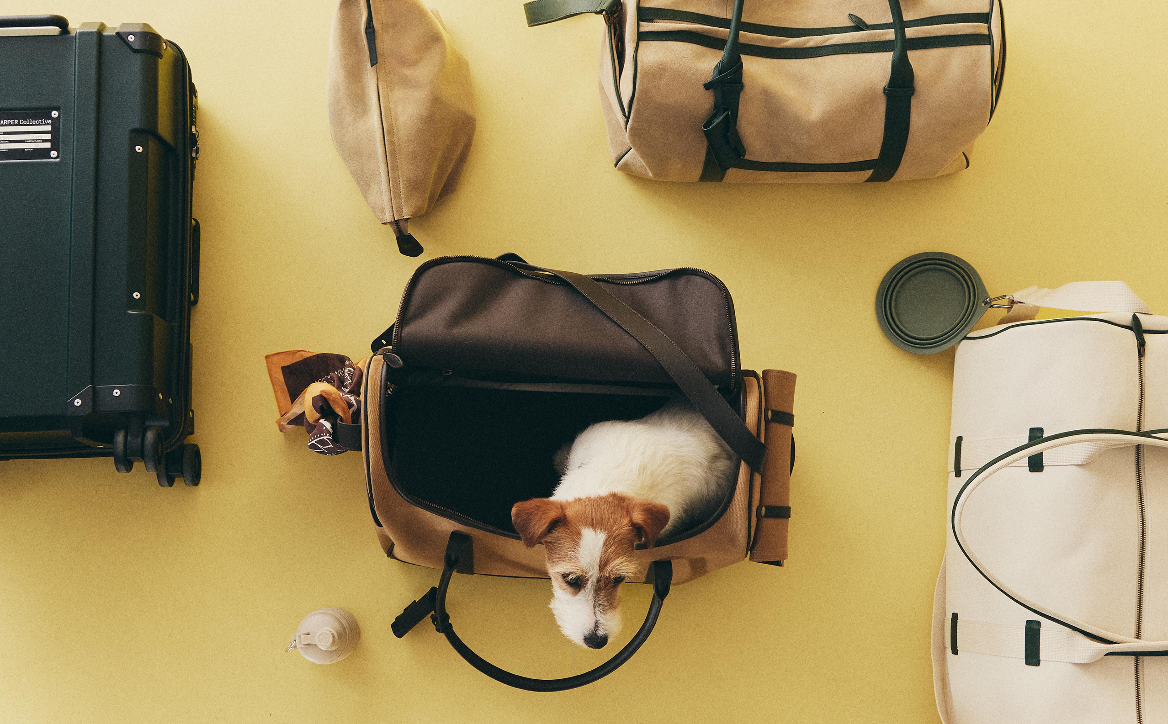 SHORT SLEEVE BLAZER SET