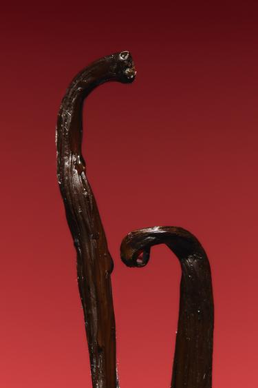 RED ZARA TEMPTATION & VANILLE EXTRAIT DE PARFUM 50ML / 1.7 oz -  by Zara - Image 2