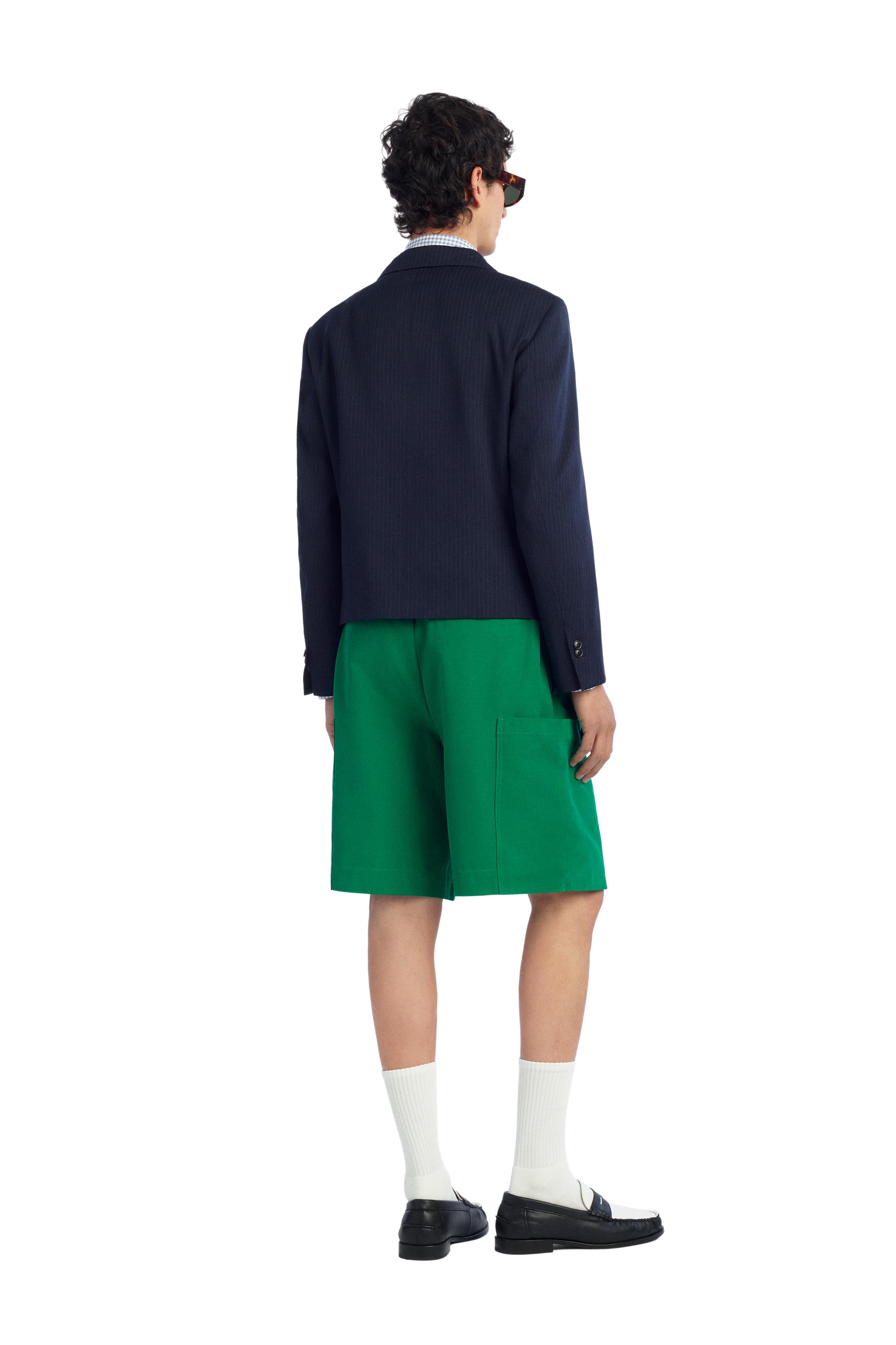 RELAXED FIT CARGO SHORTS WITH PLEATS — Green (alternate view)