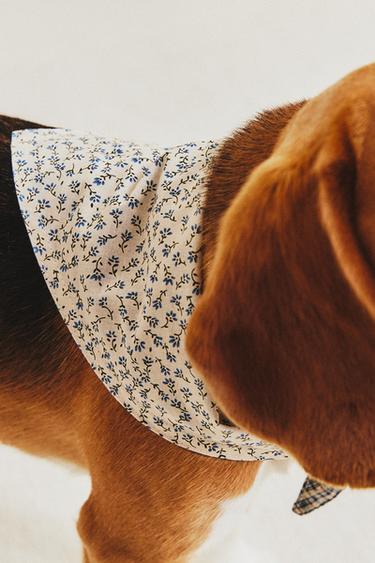 FLORAL COTTON PET BANDANA - Blue by Zara - Image 5
