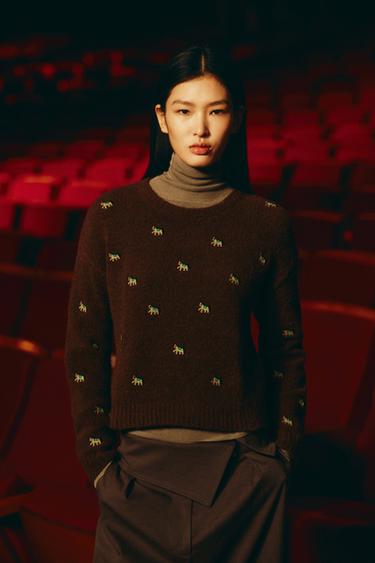 Zara 刺繡針織衫 - 棕色