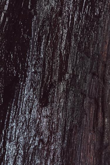 EBONY WOOD EDP 100ML (3.4 FL.OZ). -  de Zara - Image 4