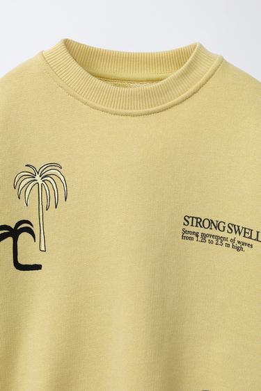 SWEAT IMPRIMÉ SURF - vert délavé de Zara - Image 2