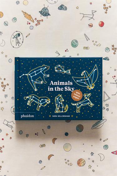 ANIMALS IN THE SKY CHILDREN'S BOOK - Multicoloured by Zara - Image 5