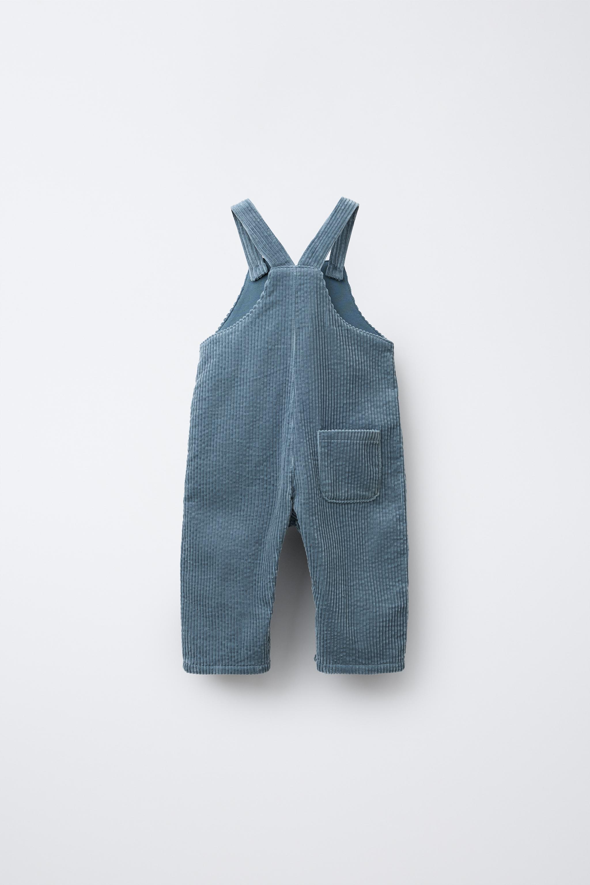 パンツ ORDINARY  DELIVERY MANCOLOURLESS RANCH PANTS HICKORY - ORDINARY FITS ATELIER SHOP