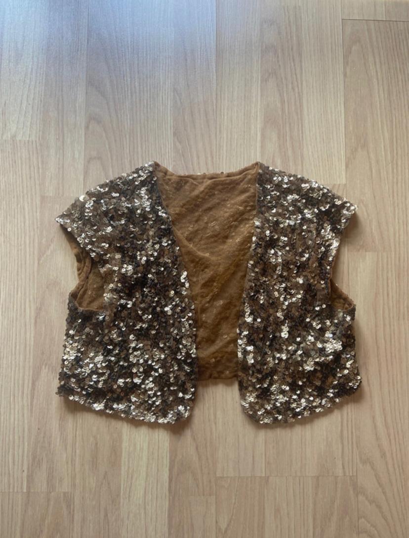 Front view of a brown waistcoat with gold sequins.
