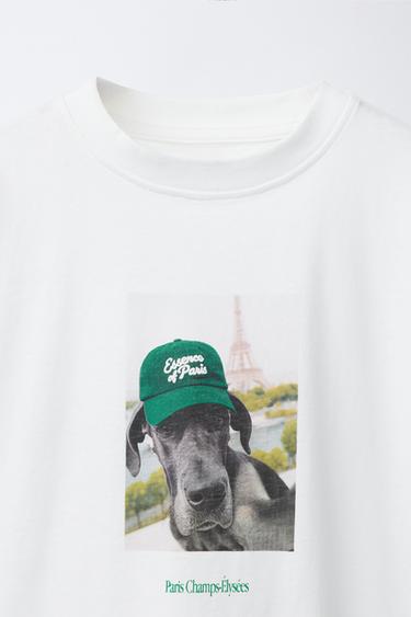 DOG PRINT T-SHIRT - White by Zara - Image 2