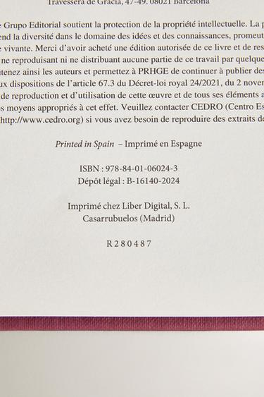 LE CASSE-NOISETTE ET LA REINE DES SOURIS CHILDREN'S BOOK - Multicoloured by Zara - Image 5