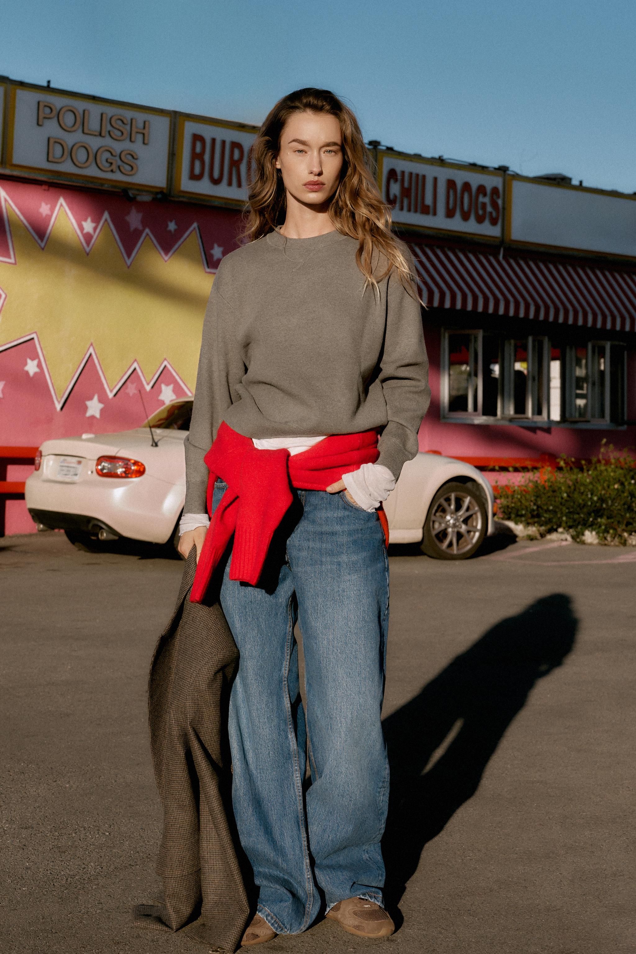 PLAIN KNIT JUMPER - Mid-mink | ZARA United States