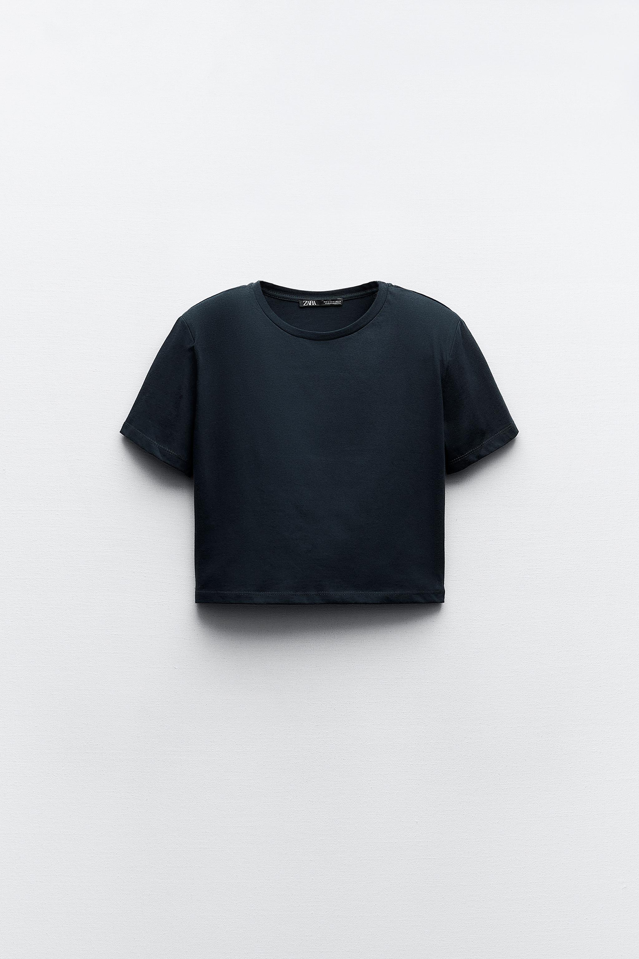 Champion sweater 2025 crop top zara