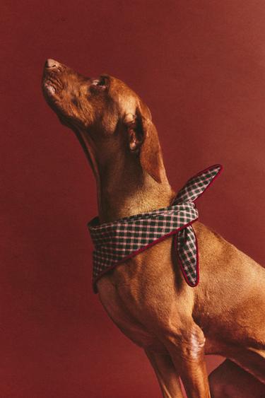 BANDANA COTON CARREAUX ANIMAUX DE COMPAGNIE NOËL - Vert de Zara