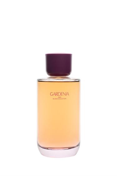 GARDENIA EDP 180ML / 6.08 oz - TINTED LEATHER by Zara