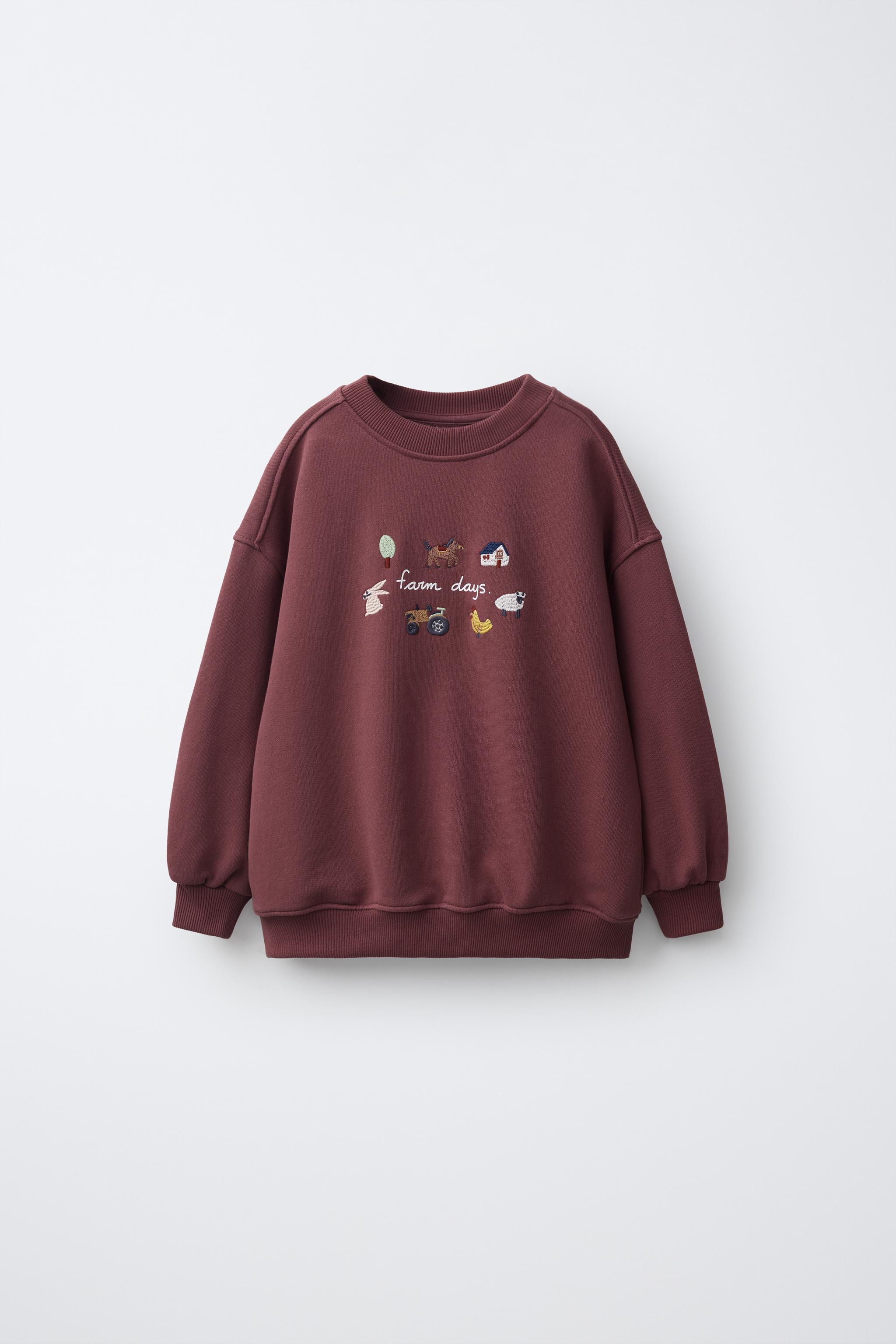 トップス Paprika Thread-Embroidered Sweatshirt FARM EMBROIDERY SWEATSHIRT - Burgundy | ZARA United States