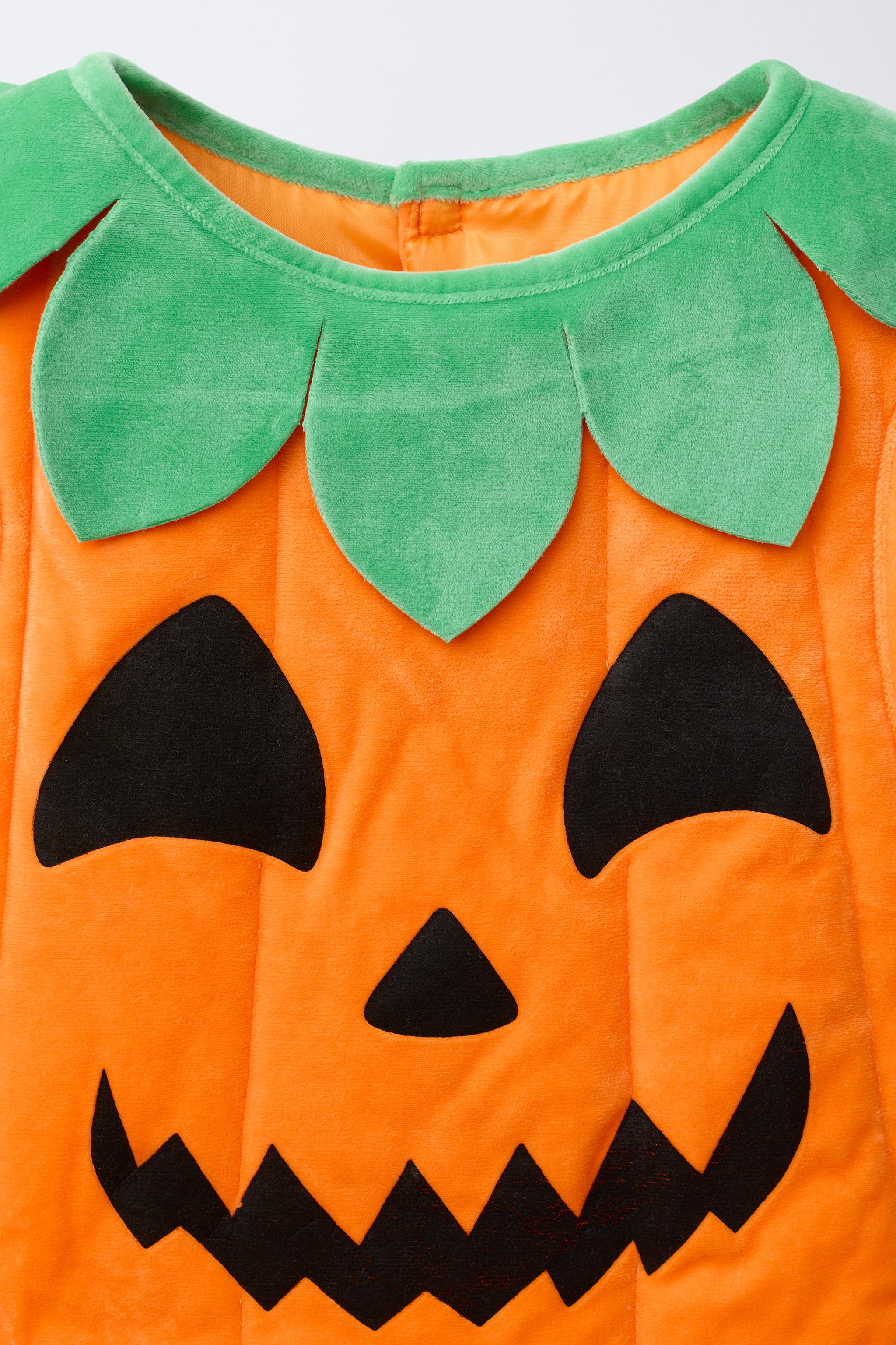 ⭐pumpkin⭐様 Pumpkin New Moon F1 Seed – Harris Seeds