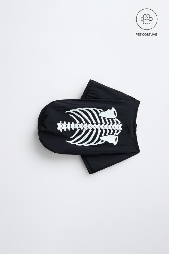 SKELETON PET COSTUME - Black by Zara - Image 0