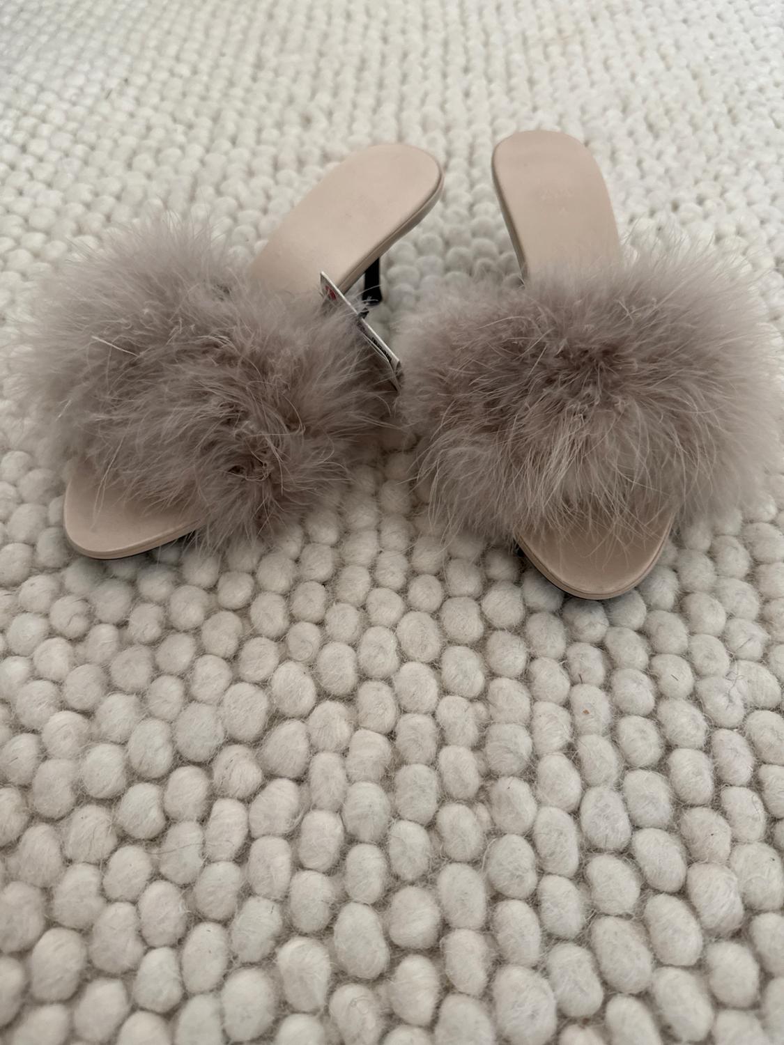 FEATHERED HEELED MULES