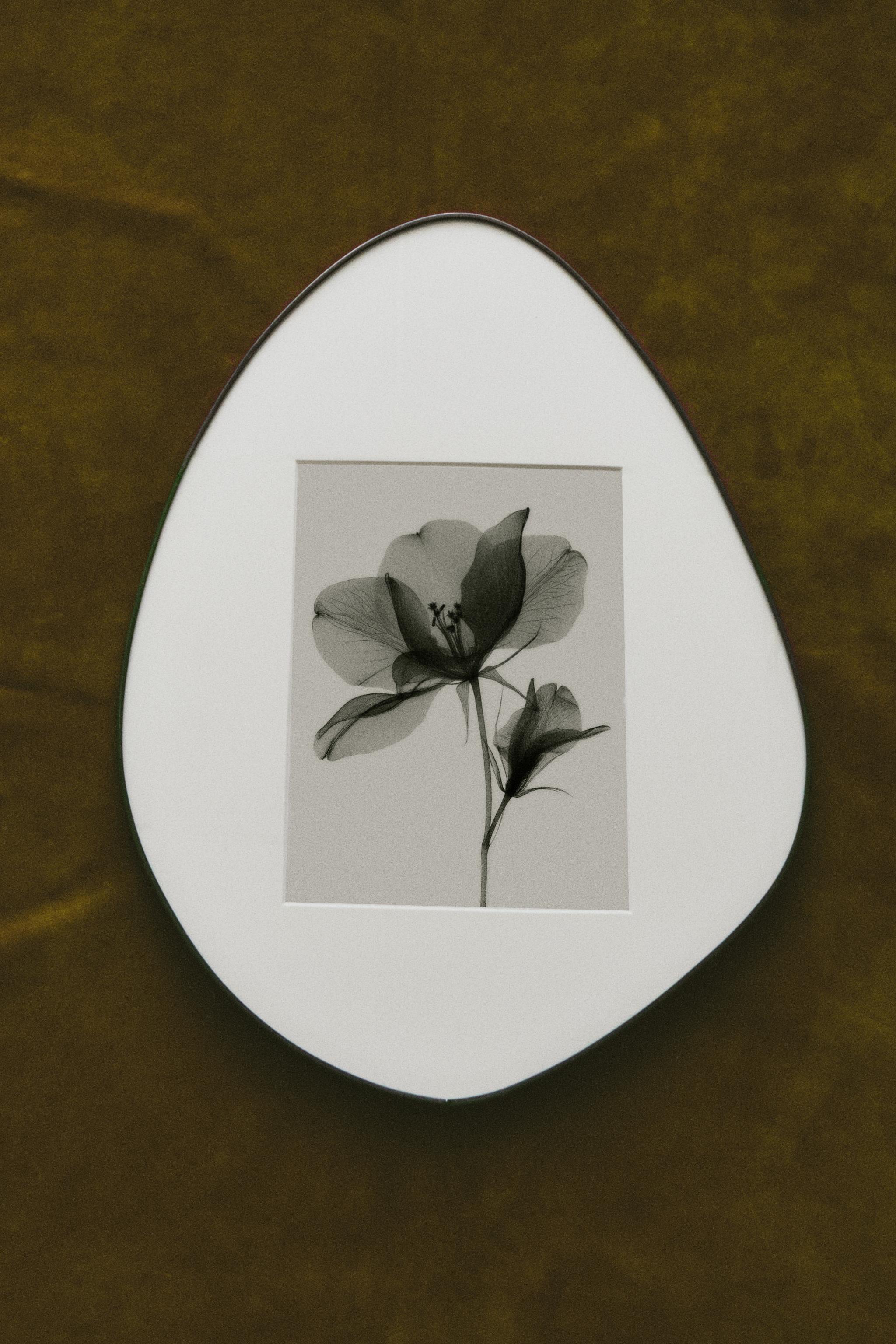 デコレーション フレーム | ボックス アクセサリー | ZARA 日本