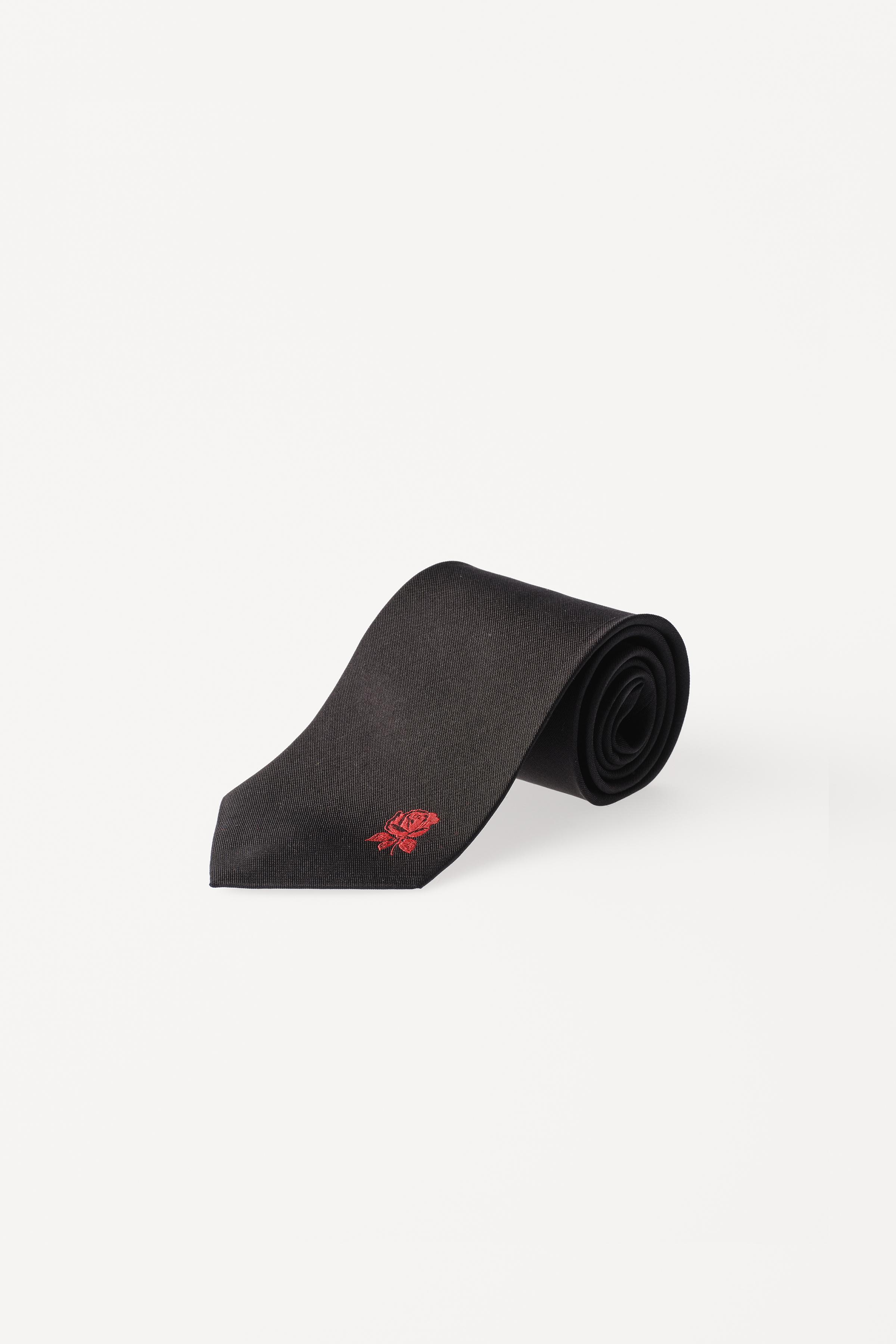 WILLY CHAVARRIA X ZARA シルク刺繍ネクタイ 100% SILK EMBROIDERED TIE WILLY CHAVARRIA X ZARA - Sky blue | ZARA
