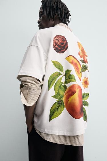 T-SHIRT IMPRIMÉ PÊCHE - Blanc de Zara - Image 6