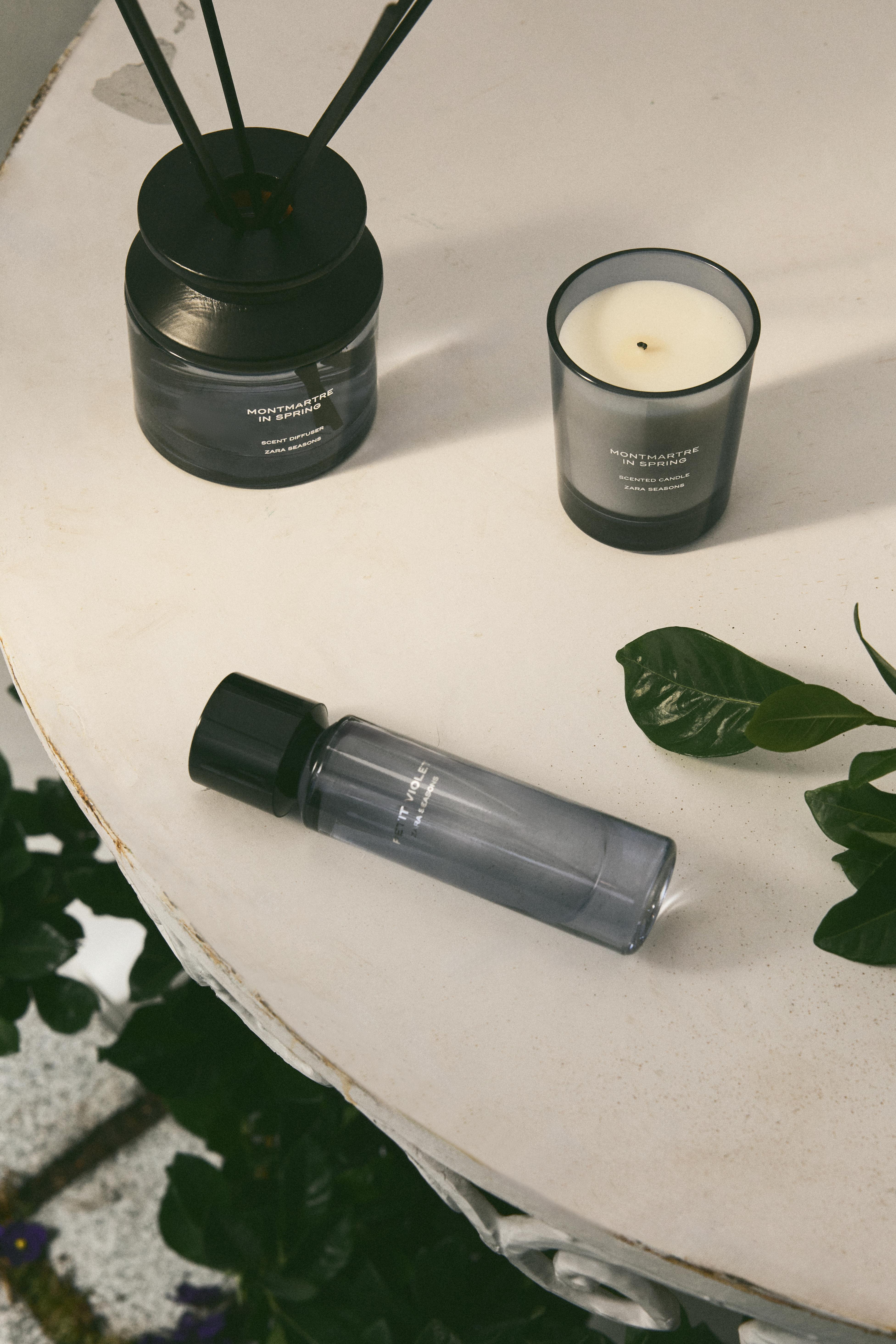 SEASONS IN SPRING SET - TINTED LEATHER | ZARA United States