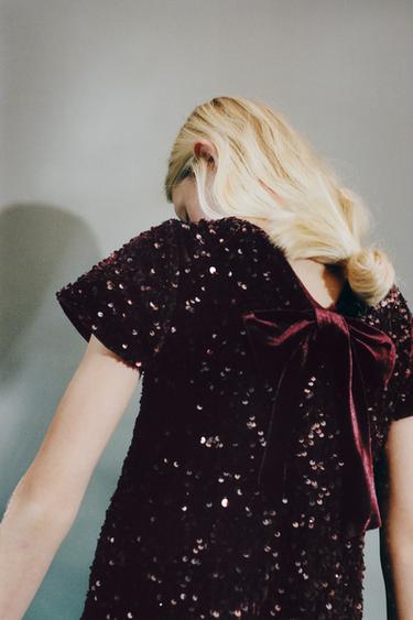 FUSTAN ME TEMINA DHE FJONGO VELVET - Bordo nga Zara