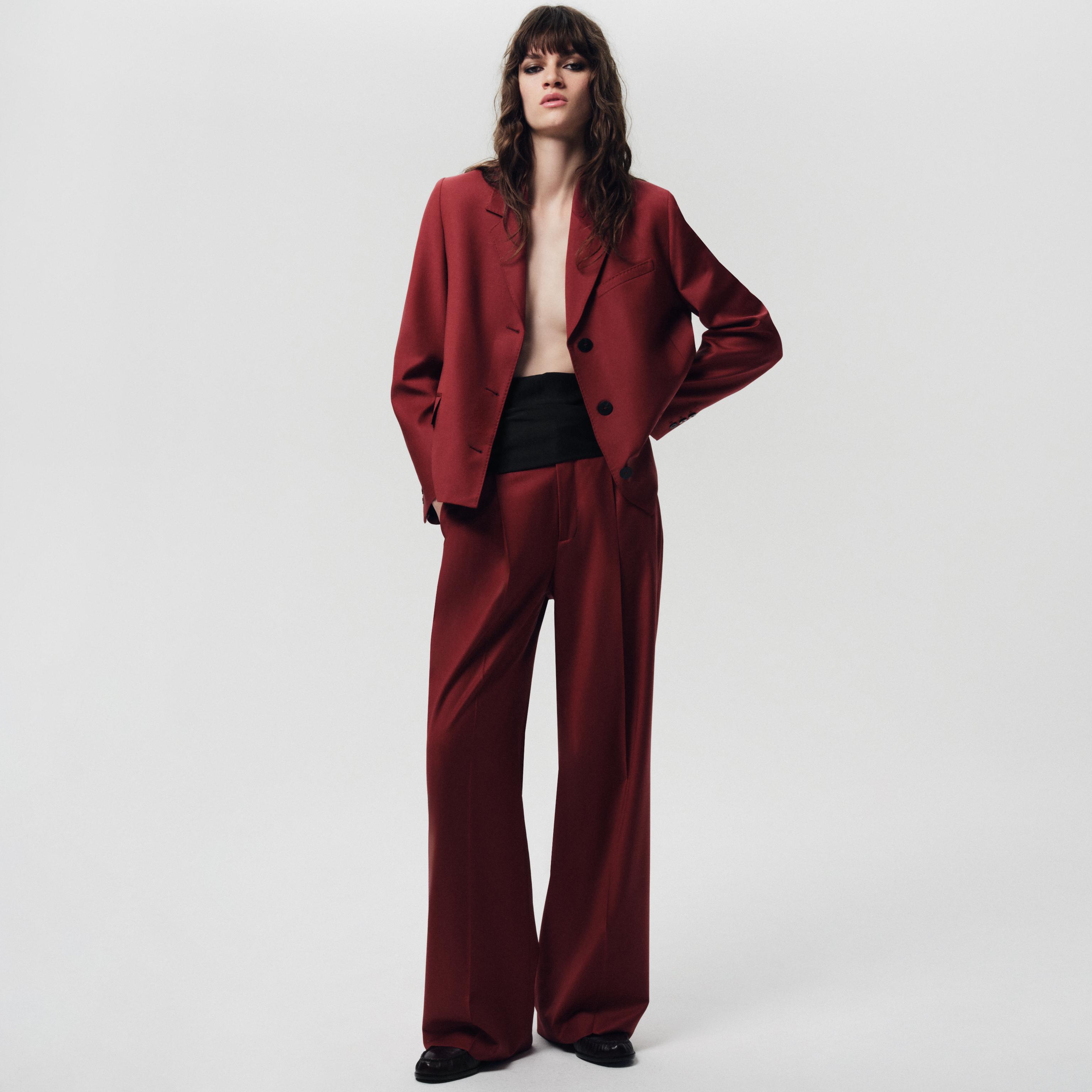 Zw Collection Wool Pleated Pants by Zara