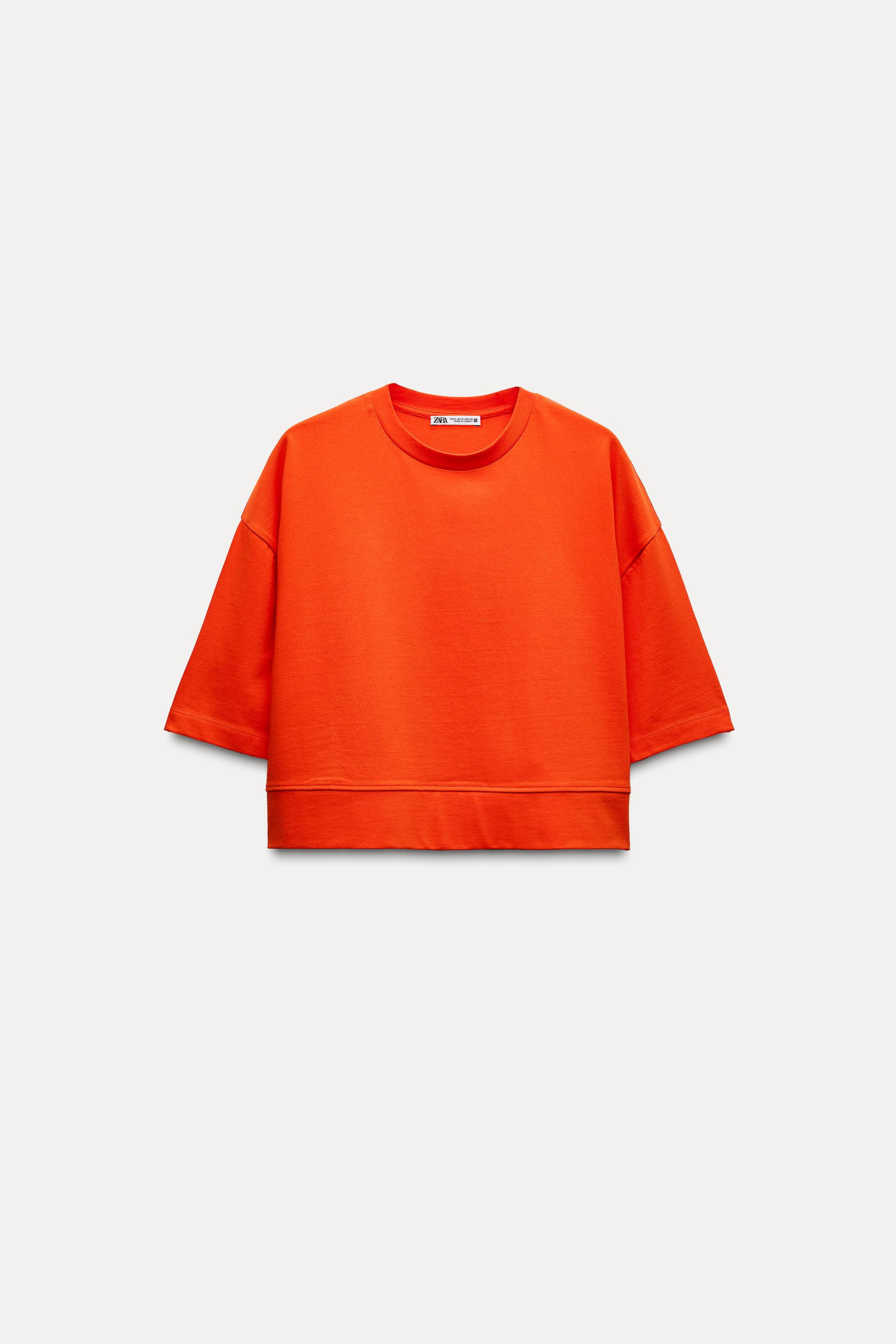 zara クロップド オファー 丈 t シャツ