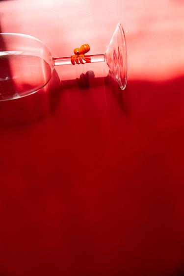 SEA ANIMAL BOROSILICATE GLASS - Orange by Zara