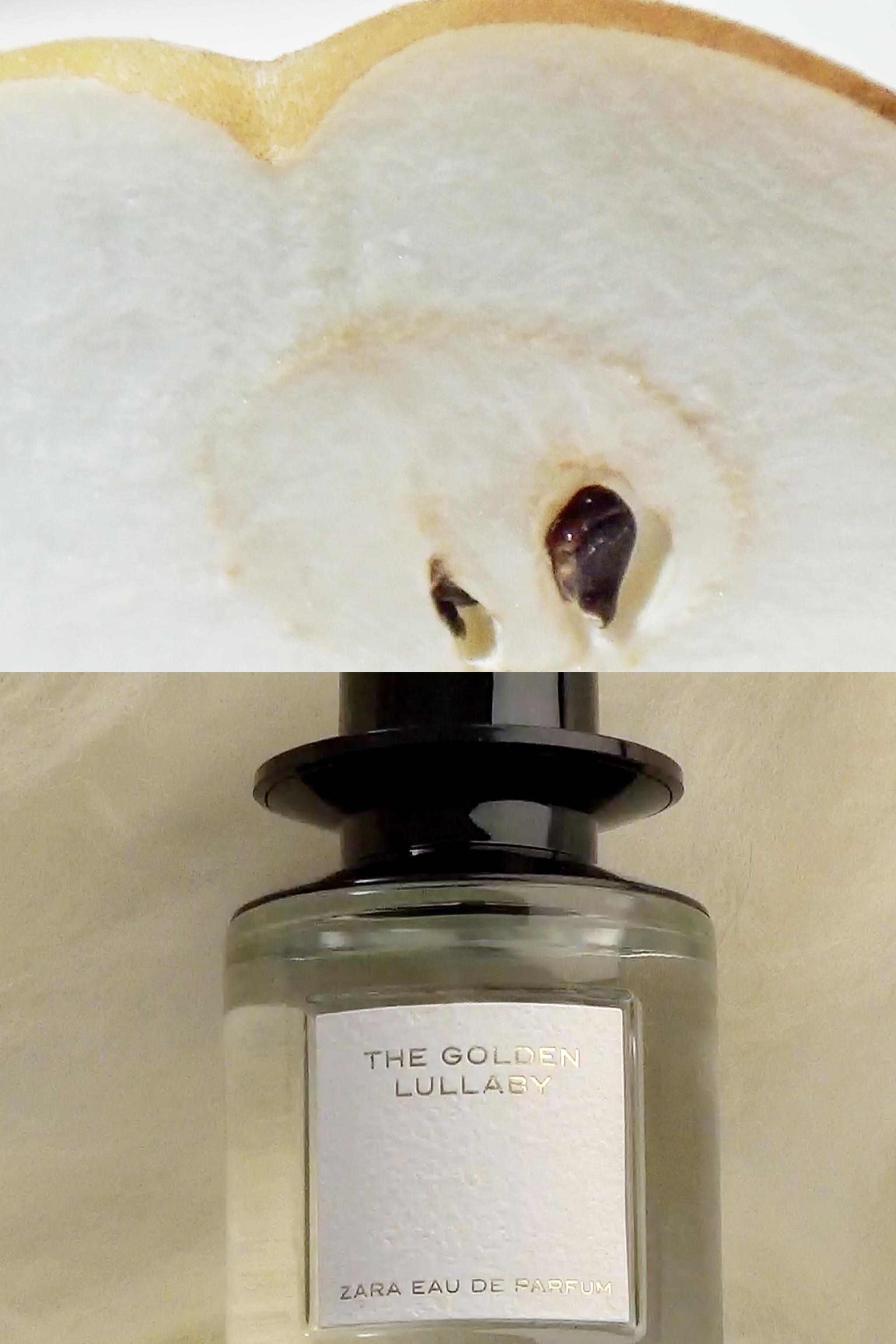 GOLDEN LULLABY EDP 100ML (3.4 FL.OZ) | ZARA United States