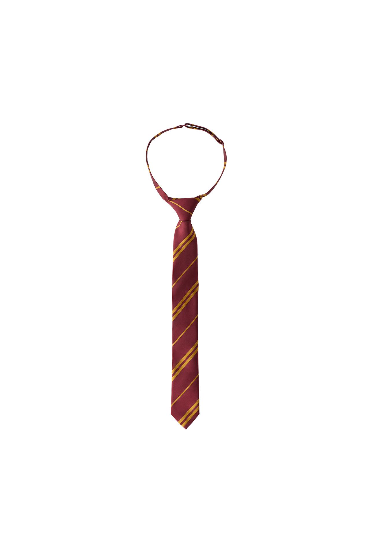 HARRY POTTER ™ FANCY DRESS TIE