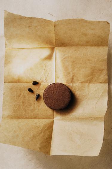 SPRUCE TREE SEED GROWING KIT - Brown by Zara