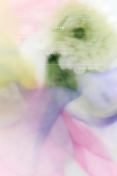 NUDE BOUQUET EDP 30ML (1.01 FL. OZ). -  by Zara - Image 0