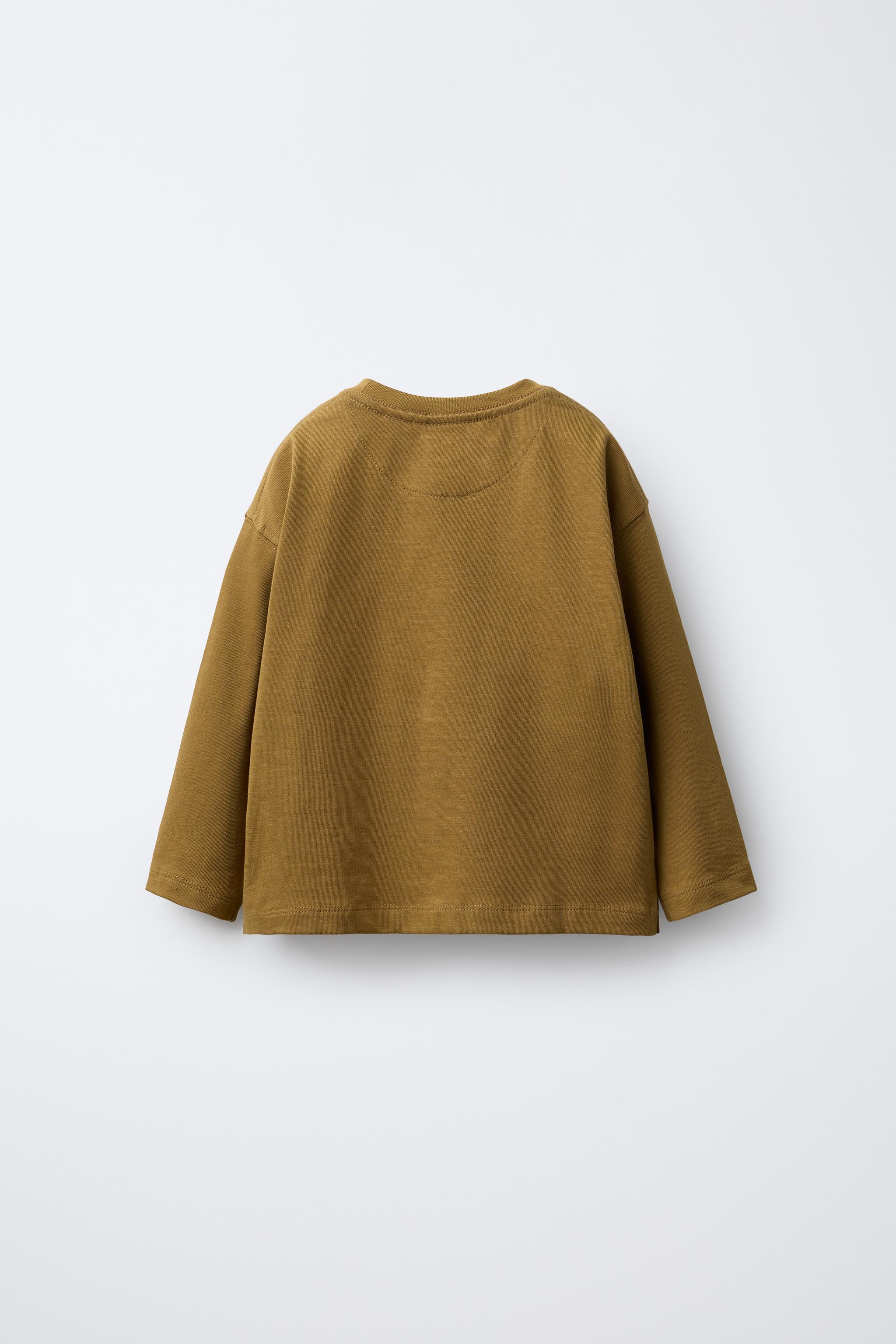 HEAVYWEIGHT EMBROIDERED T-SHIRT - Tans | ZARA United States