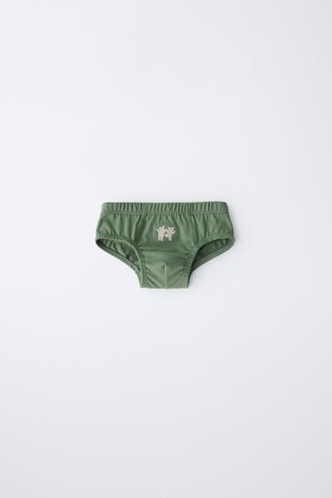 2-6 YEARS/ 6-PACK OF BEAR PRINT BRIEFS - Multicoloured by Zara - Image 2