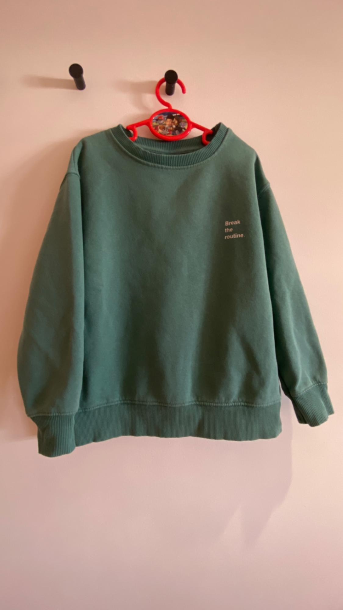 Green sweatshirt hanging on a red hanger with "Break the routine" text on the chest. White background.