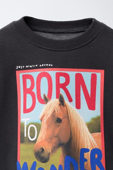HORSE PRINT SWEATSHIRT - Anthracite grey by Zara - Image 2