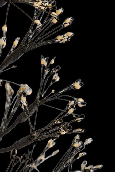 LED LIGHT CHRISTMAS TREE (50 CM) - Black by Zara