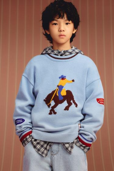 EMBROIDERED KNIT JUMPER WITH PATCHES - Multicoloured by Zara