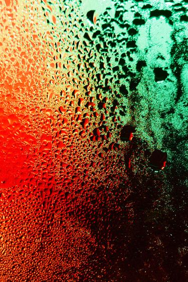 ELEGANTLY TOKYO EDP 100 ML -  de Zara - Image 1