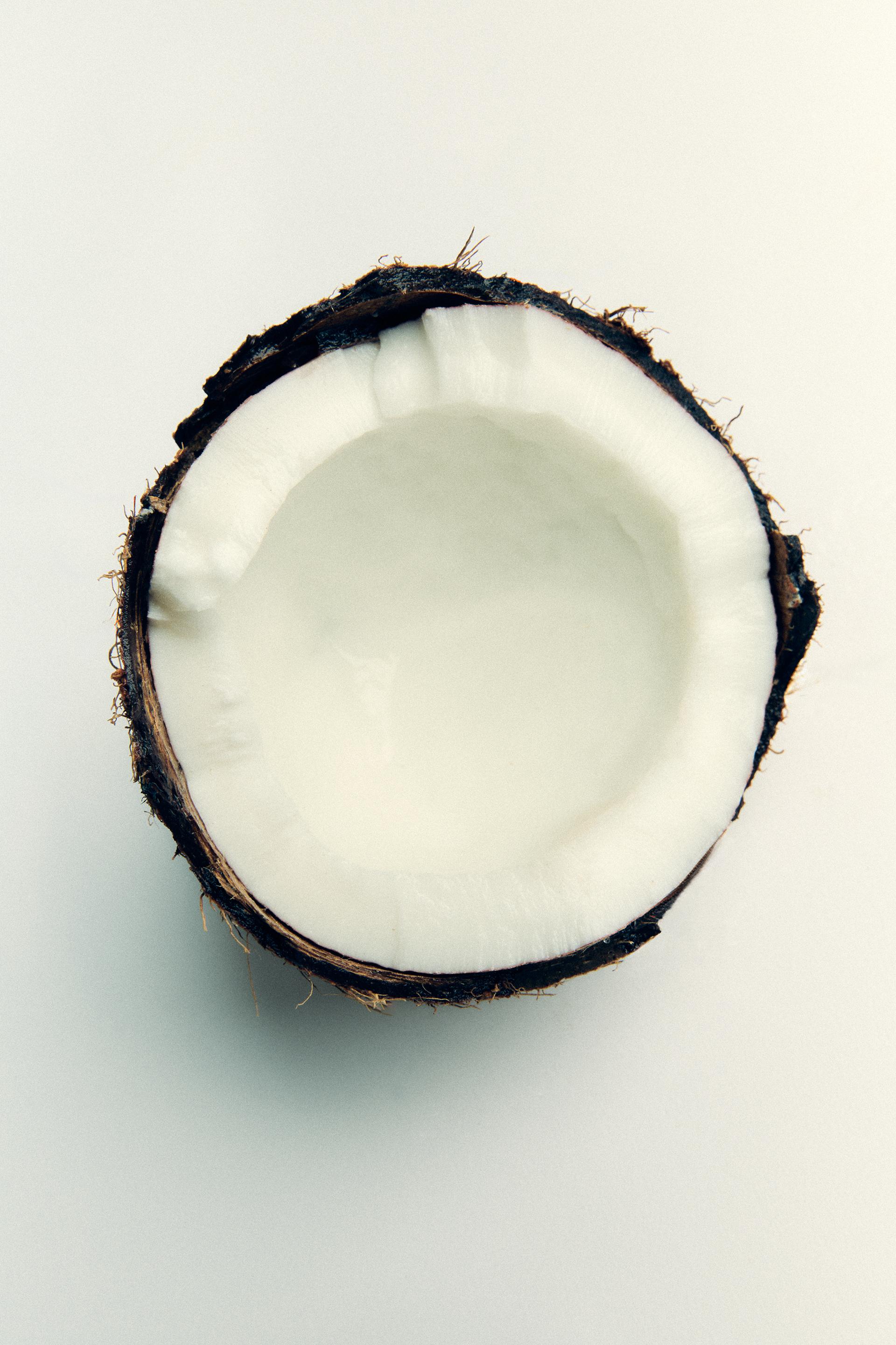 zara coconut tropic tides